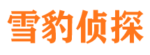 大悟捉小三公司